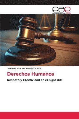 bokomslag Derechos Humanos