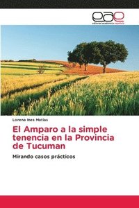 bokomslag El Amparo a la simple tenencia en la Provincia de Tucuman