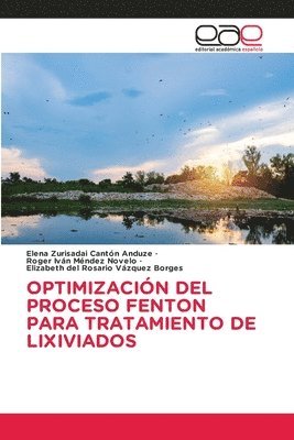 Elena Zurisadai Cantón Anduze, Roger Iván Méndez Novelo, Elizabeth del Rosario Vázquez Borges, Roger Iván - Optimización del Proceso Fenton Para Tratamiento de Lixiviados, Häftad