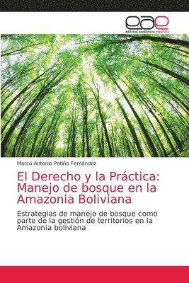 bokomslag El Derecho y la Prctica