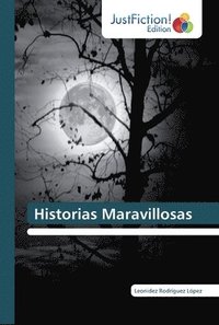 bokomslag Historias Maravillosas