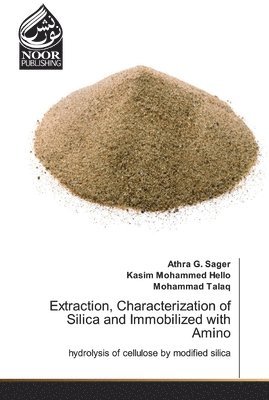 bokomslag Extraction, Characterization of Silica and Immobilized with Amino