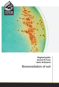 bokomslag Bioremediation of soil