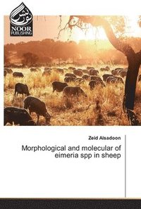 bokomslag Morphological and molecular of eimeria spp in sheep