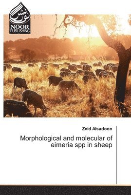 Morphological and molecular of eimeria spp in sheep 1