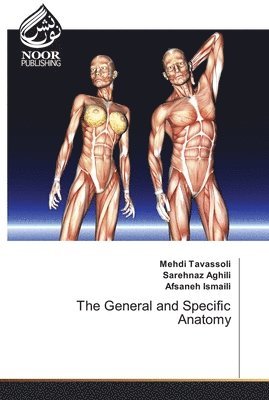 The General and Specific Anatomy 1