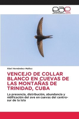 Vencejo de Collar Blanco En Cuevas de Las Montañas de Trinidad, Cuba