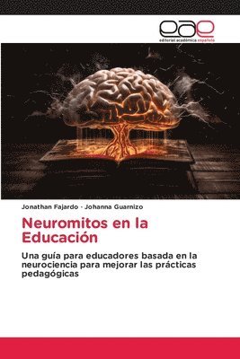 bokomslag Neuromitos en la Educacin