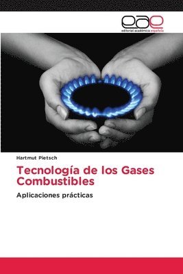 bokomslag Tecnologa de los Gases Combustibles