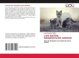bokomslag Gatos, Enigmáticos Amigos