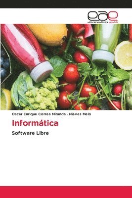 bokomslag Informtica