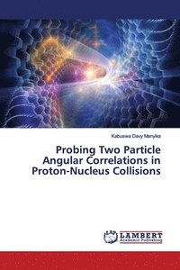 bokomslag Probing Two Particle Angular Correlations in Proton-Nucleus Collisions