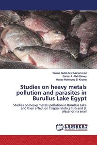 bokomslag Studies on heavy metals pollution and parasites in Burullus Lake Egypt