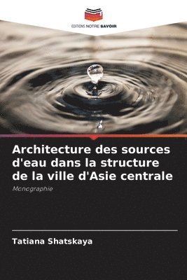 Architecture des sources d'eau dans la structure de la ville d'Asie centrale 1