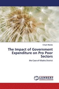 bokomslag The Impact of Government Expenditure on Pro Poor Sectors