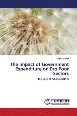 The Impact of Government Expenditure on Pro Poor Sectors 1