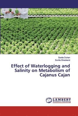 Effect of Waterlogging and Salinity on Metabolism of Cajanus Cajan 1