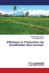 bokomslag Efficiency in Production by Smallholder Rice Farmers