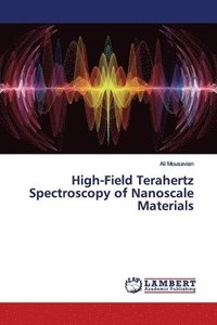 bokomslag High-Field Terahertz Spectroscopy of Nanoscale Materials