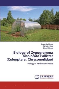 bokomslag Biology of Zygogramma bicolorata Pallister (Coleoptera