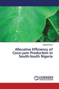 bokomslag Allocative Efficiency of Coco-yam Production in South-South Nigeria