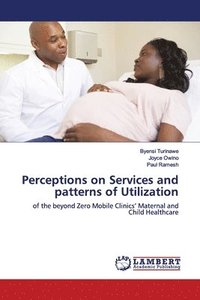 bokomslag Perceptions on Services and patterns of Utilization