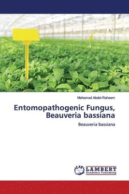Entomopathogenic Fungus, Beauveria bassiana 1