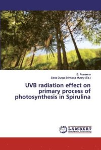 bokomslag UVB radiation effect on primary process of photosynthesis in Spirulina