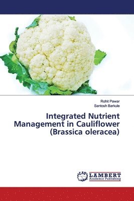 bokomslag Integrated Nutrient Management in Cauliflower (Brassica oleracea)