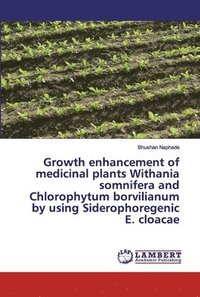 bokomslag Growth enhancement of medicinal plants Withania somnifera and Chlorophytum borvilianum by using Siderophoregenic E. cloacae