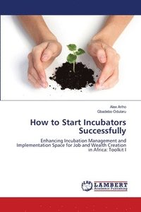 bokomslag How to Start Incubators Successfully