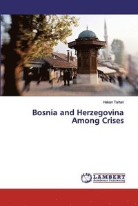bokomslag Bosnia and Herzegovina Among Crises