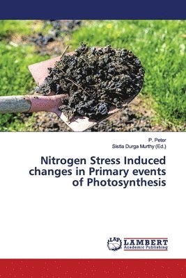 bokomslag Nitrogen Stress Induced changes in Primary events of Photosynthesis