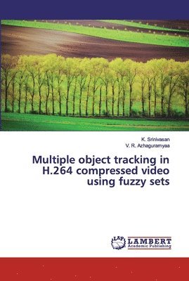 Multiple object tracking in H.264 compressed video using fuzzy sets 1