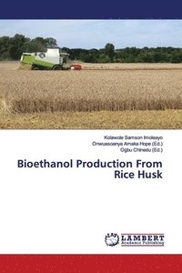 bokomslag Bioethanol Production From Rice Husk