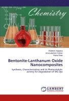 Shailesh Vajapara, Amanullakhan Pathan, Rahul Shah - Bentonite-Lanthanum Oxide Nanocomposites, Häftad
