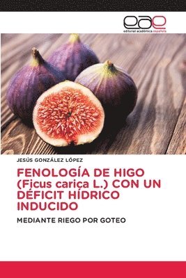 bokomslag FENOLOGA DE HIGO (Ficus carica L.) CON UN DFICIT HDRICO INDUCIDO