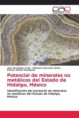 bokomslag Potencial de minerales no metlicos del Estado de Hidalgo, Mxico