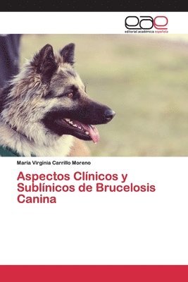 Aspectos Clnicos y Sublnicos de Brucelosis Canina 1