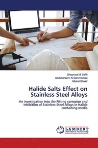 bokomslag Halide Salts Effect on Stainless Steel Alloys