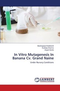 bokomslag In Vitro Mutagenesis In Banana Cv. Grand Naine