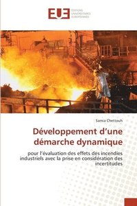 bokomslag Dveloppement d'une dmarche dynamique