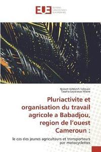 bokomslag Pluriactivite et organisation du travail agricole a Babadjou, region de l'ouest Cameroun