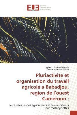 Pluriactivite et organisation du travail agricole a Babadjou, region de l'ouest Cameroun 1