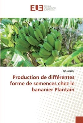bokomslag Production de diffrentes forme de semences chez le bananier Plantain