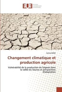 bokomslag Changement climatique et production agricole