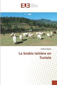 bokomslag La brebis laitire en Tunisie