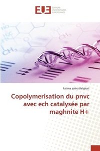 bokomslag Copolymerisation du pnvc avec ech catalyse par maghnite H+