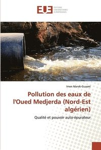 bokomslag Pollution des eaux de l'Oued Medjerda (Nord-Est algrien)