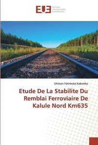 bokomslag Etude De La Stabilite Du Remblai Ferroviaire De Kalule Nord Km635